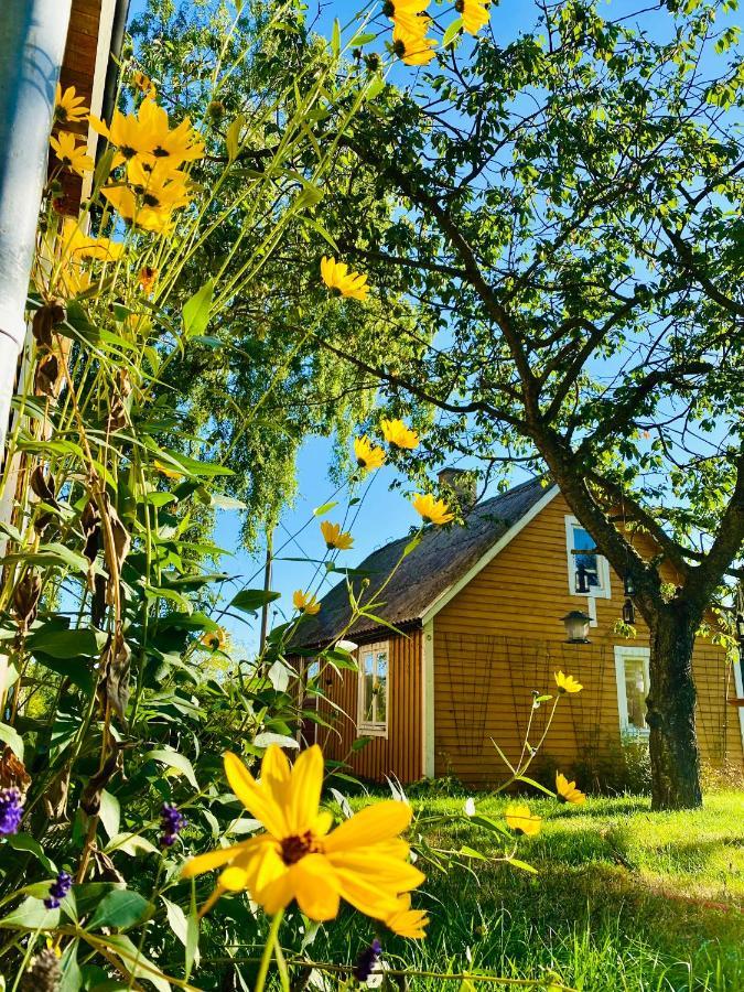 Hällevik Pensionat Lilla Paradiset מראה חיצוני תמונה